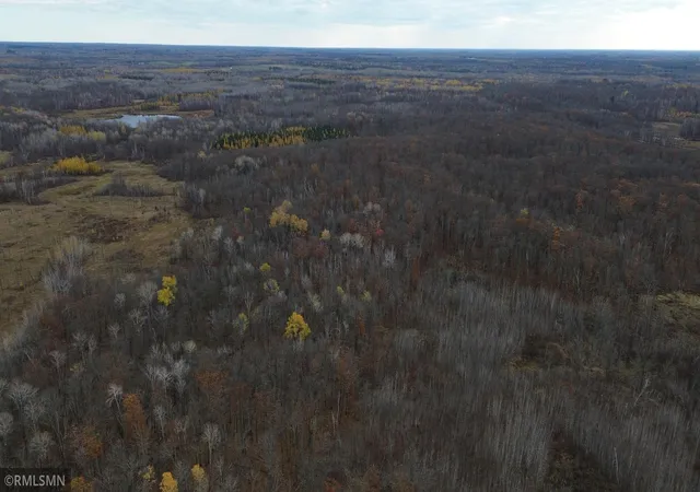 56th image of Tbd 170th Pl, Mc Gregor, MN 55760 | MLS# 6812174