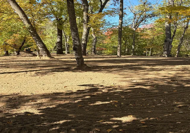 Photo 4 of Land for sale at Tbd - Lot 6 Ottertail Point Dr NW, Cass Lake, MN 56633 | MLS# 6813139 | Listing updated on 2026-07-16