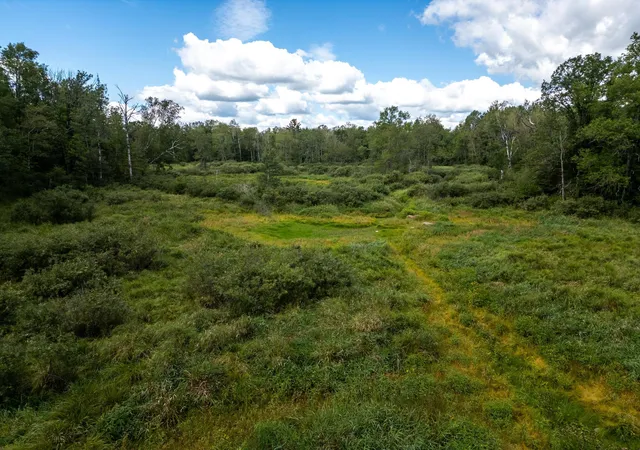 Photo 3 of Land for sale at 48029 110th Place, Tamarack, MN 55787 | MLS# 6813941 | Listing updated on 2026-06-19