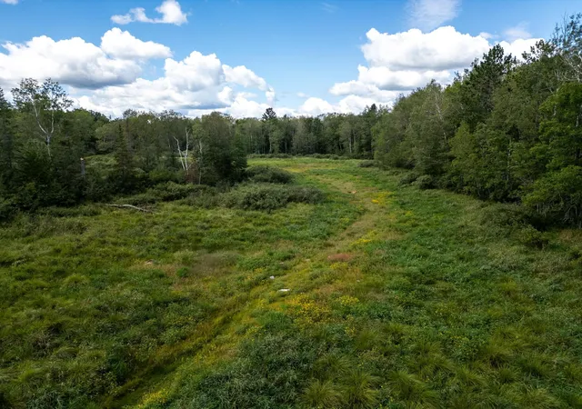 Photo 3 of Land for sale at 48029 110th Place, Tamarack, MN 55787 | MLS# 6813941 | Listing updated on 2026-06-19