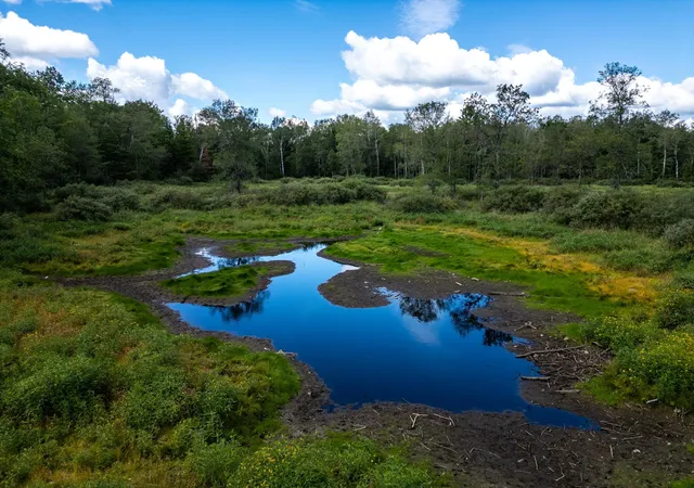 Photo 4 of Land for sale at 48029 110th Place, Tamarack, MN 55787 | MLS# 6813941 | Listing updated on 2026-06-19