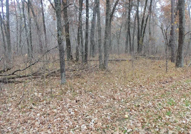 Homes for sale in Grantsburg, WI | Lot 4 East River Rd, Grantsburg, WI 54840 | MLS# 6814577