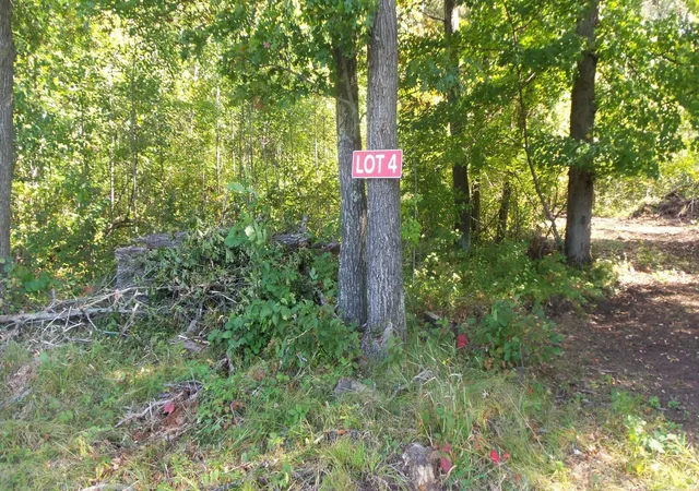Homes for sale in Grantsburg, WI | Lot 4 East River Rd, Grantsburg, WI 54840 | MLS# 6814577