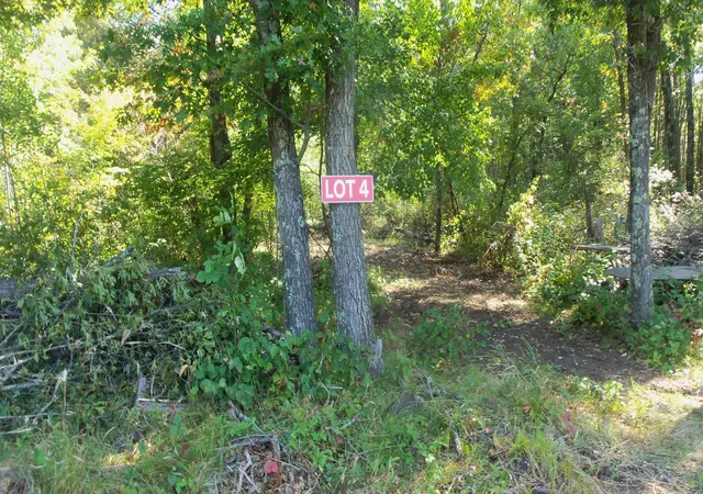 Homes for sale in Grantsburg, WI | Lot 4 East River Rd, Grantsburg, WI 54840 | MLS# 6814577