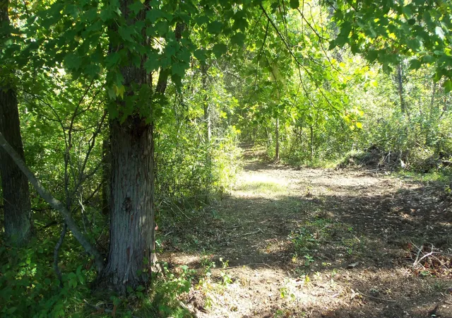 3rd image of Lot 4 East River Rd, Grantsburg, WI 54840 | MLS# 6814577