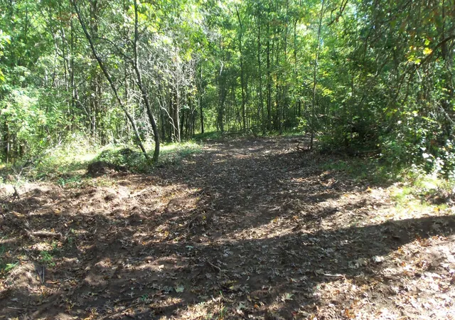 4th image of Lot 4 East River Rd, Grantsburg, WI 54840 | MLS# 6814577