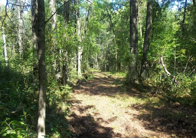 5th image of Lot 4 East River Rd, Grantsburg, WI 54840 | MLS# 6814577
