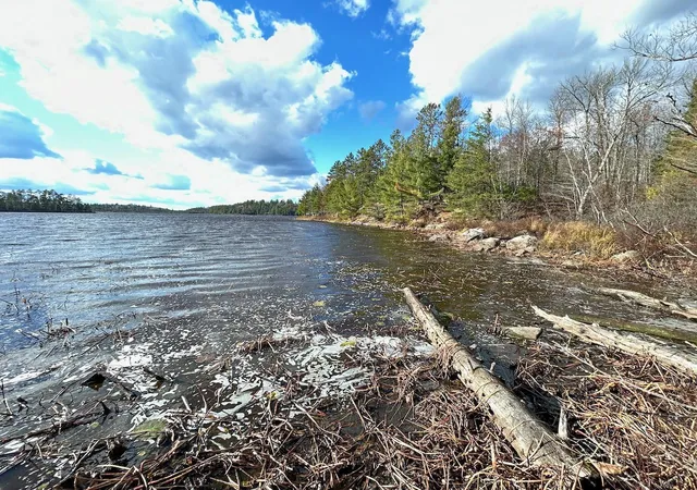 Photo 3 of Land for sale at Tbd Wilderness Way, Cook, MN 55723 | MLS# 6814813 | Listing updated on 2026-07-26