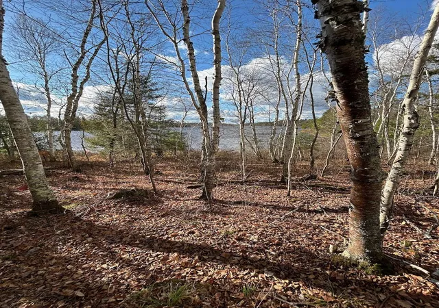 Photo 4 of Land for sale at Tbd Wilderness Way, Cook, MN 55723 | MLS# 6814813 | Listing updated on 2026-07-26