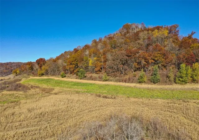 4th image of 0 County Road Kk, Mondovi, WI 54610 | MLS# 6814849