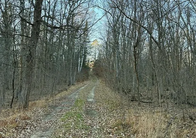 Photo 2 of Land for sale at 24965 Hammock Trl, Park Rapids, MN 56470 | MLS# 6816262 | Listing updated on 2026-06-19