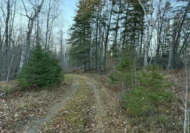 Photo 3 of Land for sale at 24965 Hammock Trl, Park Rapids, MN 56470 | MLS# 6816262 | Listing updated on 2026-06-19