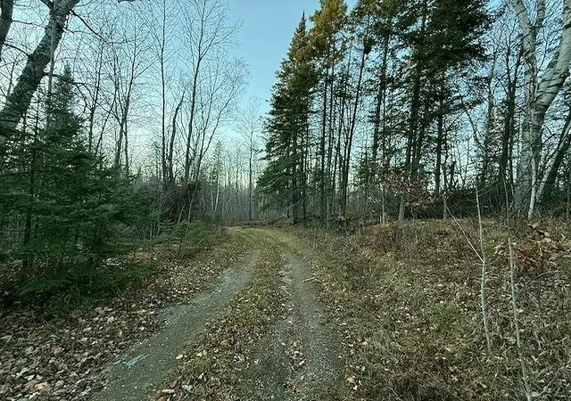 Photo 3 of Land for sale at 24965 Hammock Trl, Park Rapids, MN 56470 | MLS# 6816262 | Listing updated on 2026-06-19