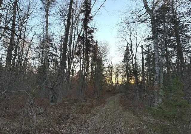 Photo 4 of Land for sale at 24965 Hammock Trl, Park Rapids, MN 56470 | MLS# 6816262 | Listing updated on 2026-06-19