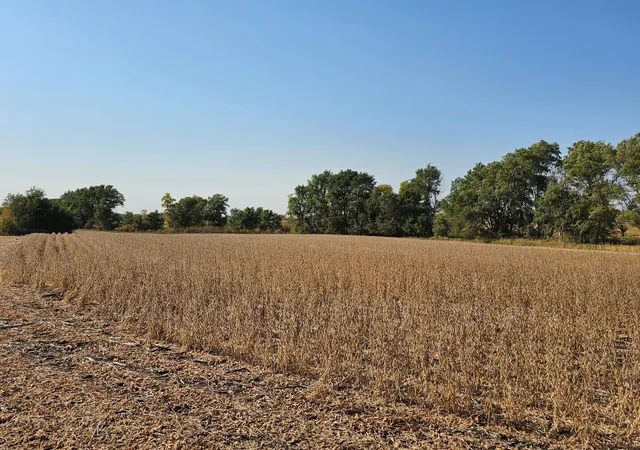 Photo 3 of Land for sale at - Mamre Twp, Willmar, MN 56201 | MLS# 6816284 | Listing updated on 2026-06-19