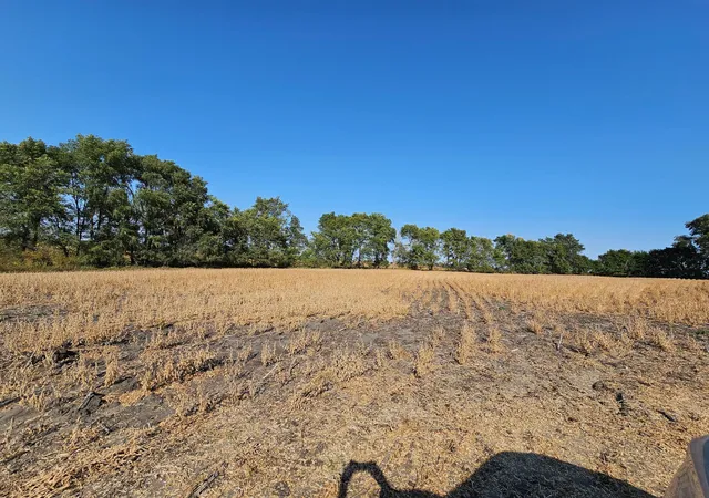 Photo 4 of Land for sale at - Mamre Twp, Willmar, MN 56201 | MLS# 6816284 | Listing updated on 2026-06-19