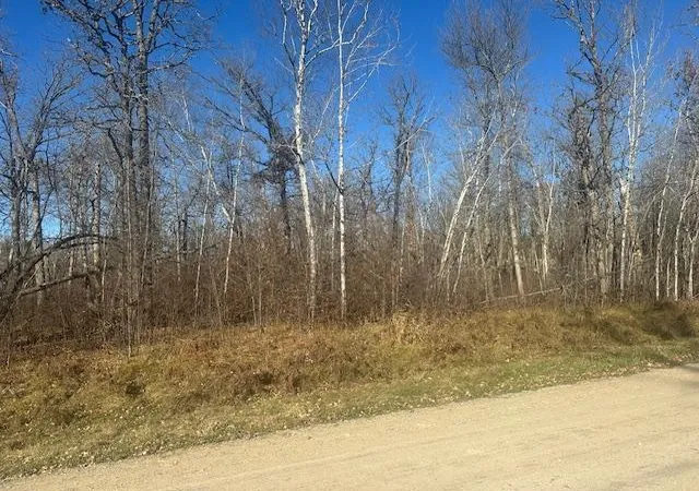 2nd image of Tbd Crest Ct Ne, Bemidji, MN 56601 | MLS# 6816439