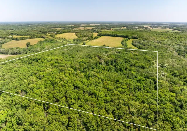 3rd image of Tbd 48Th St Sw, Pine River, MN 56474 | MLS# 6817466