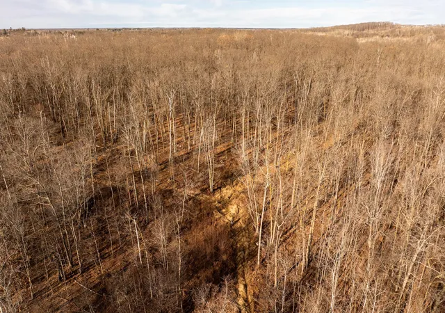 42nd image of Tbd 48th St Sw, Pine River, MN 56474 | MLS# 6817466
