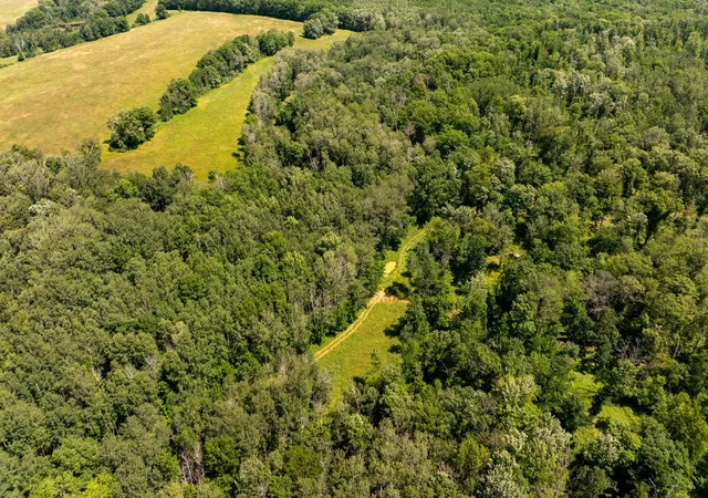 4th image of Tbd 48Th St Sw, Pine River, MN 56474 | MLS# 6817466
