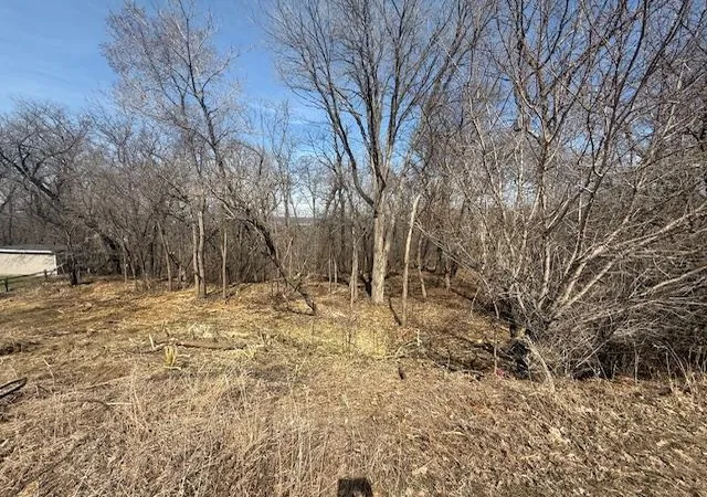 4th image of 328 Limestone Rd, Cannon Falls, MN 55009 | MLS# 6817477