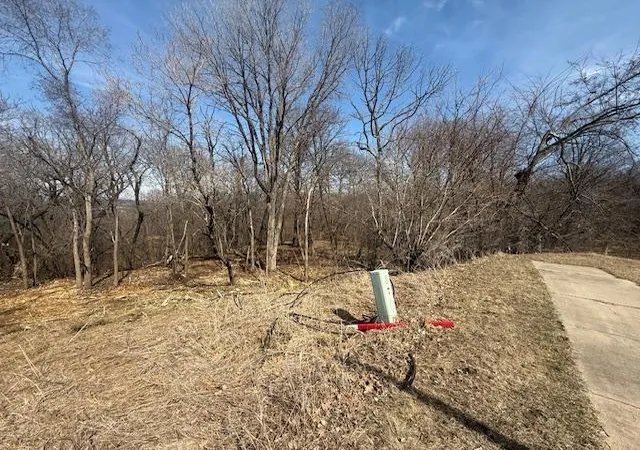 5th image of 328 Limestone Rd, Cannon Falls, MN 55009 | MLS# 6817477