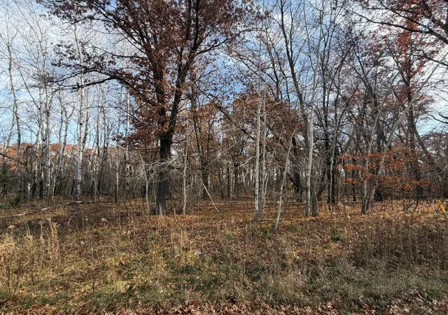 Photo 2 of Land for sale at Xxxx Xerus St Nw, Zimmerman, MN 55398 | MLS# 6817517 | Listing updated on 2026-09-29