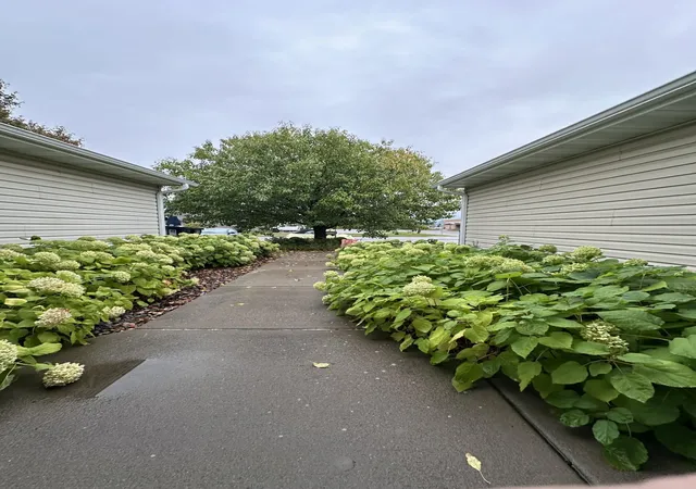 Photo 3 of Single family home for sale at 371 Phyllis St, Big Lake, MN 55309 | MLS# 6817975 | Listing updated on 2026-10-03