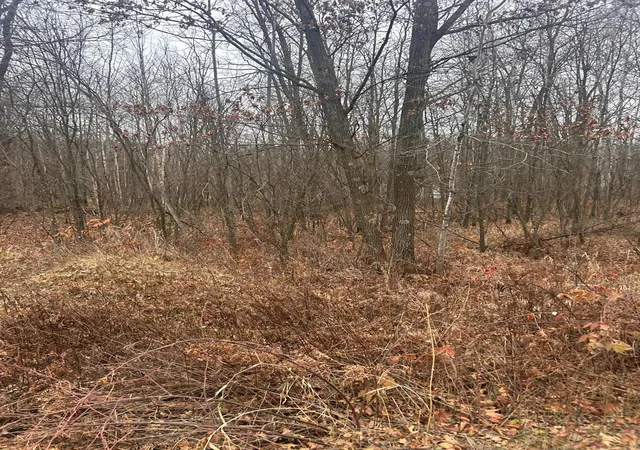 1st image of Tbdx Lake Camile, Randall, MN 56475 | MLS# 6819788