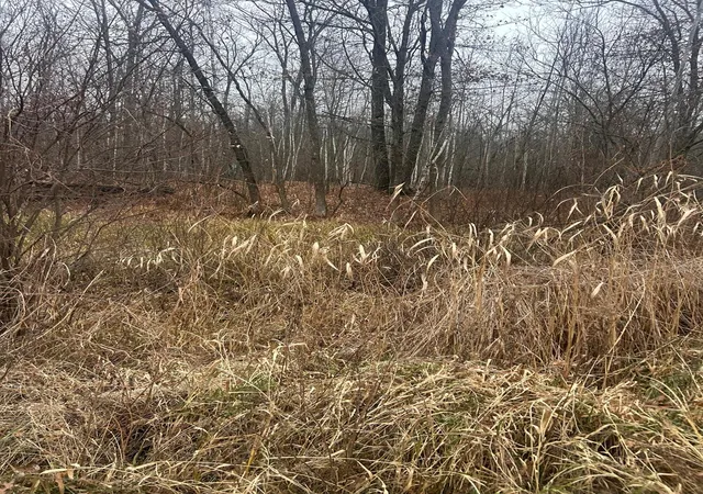 1st image of Tbdxx Lake Camile, Randall, MN 56475 | MLS# 6819803
