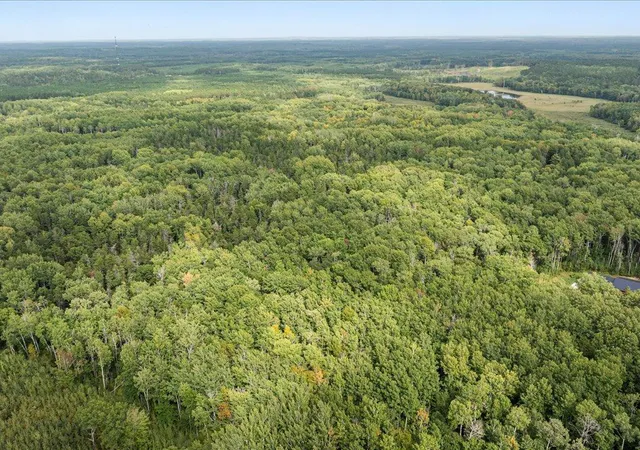 5th image of Lot B Sandbar Lane, Merrifield, MN 56465 | MLS# 6819839