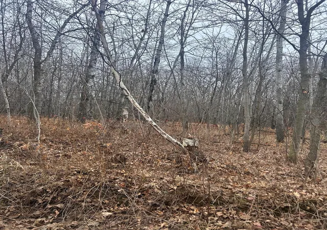 1st image of Tbdx Golf Course Dr, Cushing, MN 56443 | MLS# 6819849