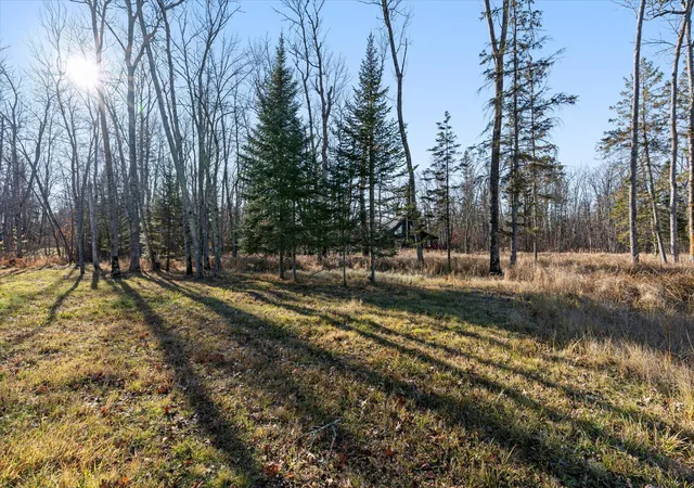 Homes for sale in Emily, MN | Tbd S Shore Dr, Emily, MN 56447 | MLS# 6819975