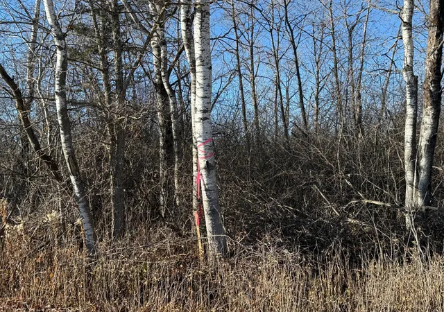 26th image of Parcel A Parameter Rd, Deer River, MN 56636 | MLS# 6820165