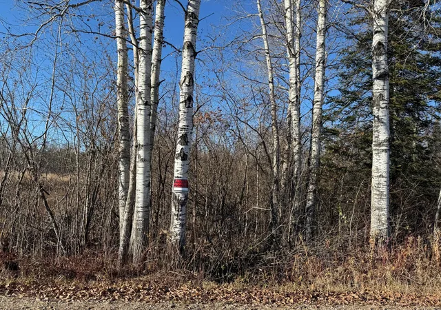 19th image of Parcel B Parameter Rd, Deer River, MN 56636 | MLS# 6820173