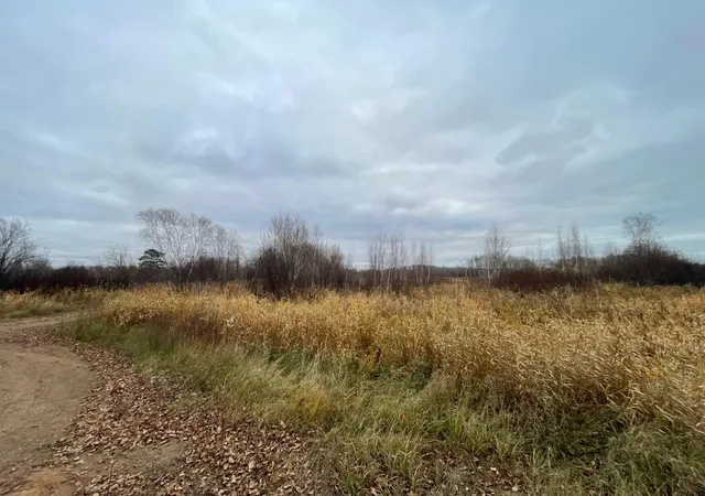 30th image of Tbd Olson Rd, Hinckley, MN 55037 | MLS# 6820986