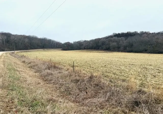Photo 3 of Land for sale at 19xx 65th Street NE, Rochester, MN 55906 | MLS# 6821423 | Listing updated on 2026-05-27