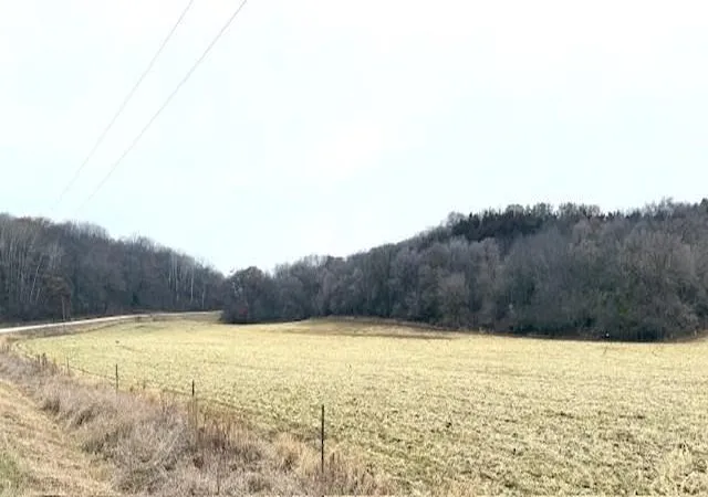 Photo 4 of Land for sale at 19xx 65th Street NE, Rochester, MN 55906 | MLS# 6821423 | Listing updated on 2026-05-27