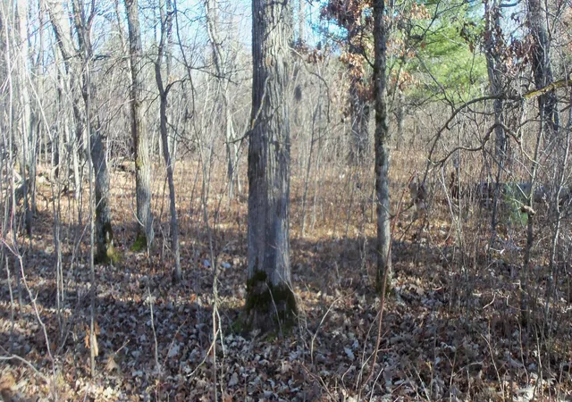 3rd image of Lot 2 Ferry Rd, Grantsburg, WI 54840 | MLS# 6821609
