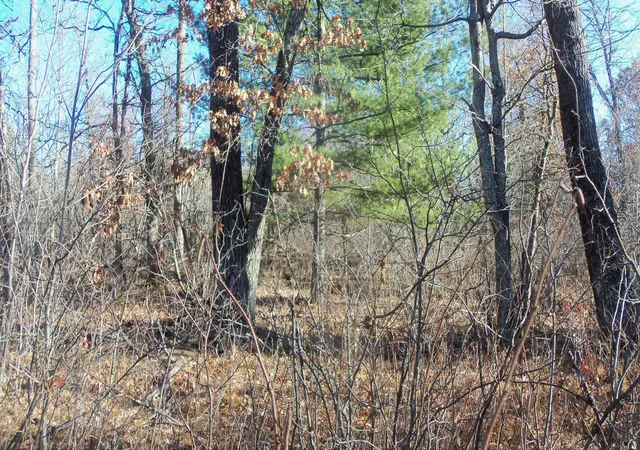 4th image of Lot 2 Ferry Rd, Grantsburg, WI 54840 | MLS# 6821609