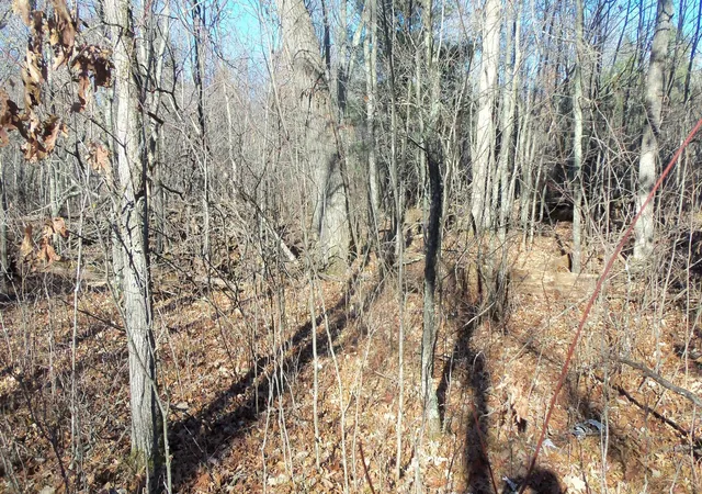5th image of Lot 2 Ferry Rd, Grantsburg, WI 54840 | MLS# 6821609