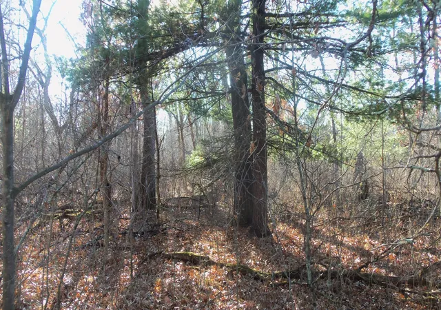 Homes for sale in Grantsburg, WI | Lot 2 Ferry Rd, Grantsburg, WI 54840 | MLS# 6821609