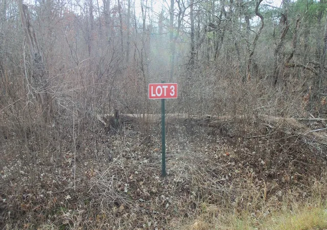 Homes for sale in Grantsburg, WI | Lot 3 Ferry Rd, Grantsburg, WI 54840 | MLS# 6821610