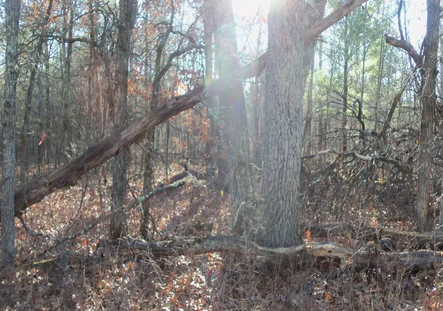 4th image of Lot 3 Ferry Rd, Grantsburg, WI 54840 | MLS# 6821610