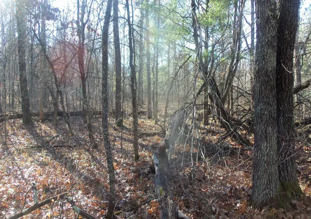 5th image of Lot 3 Ferry Rd, Grantsburg, WI 54840 | MLS# 6821610