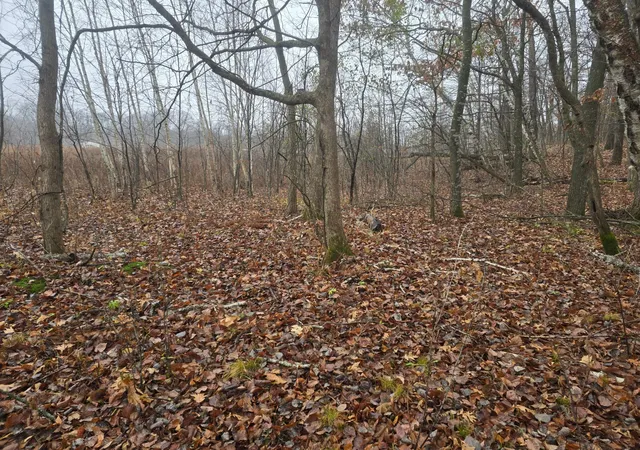 4th image of Xxxx 244Th St N, Scandia, MN 55073 | MLS# 6821758