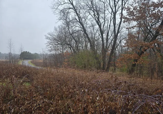 5th image of Xxxx 244Th St N, Scandia, MN 55073 | MLS# 6821758