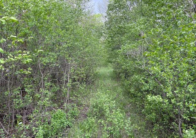 Photo 4 of Sale Pending at Tbd 160th Street NE, Thief River Falls, MN 56701 | MLS# 6822604 | Listing updated on 2026-09-03