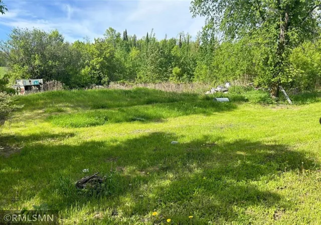 3rd image of 26024 Alvwood Rd Ne, Blackduck, MN 56630 | MLS# 6822711