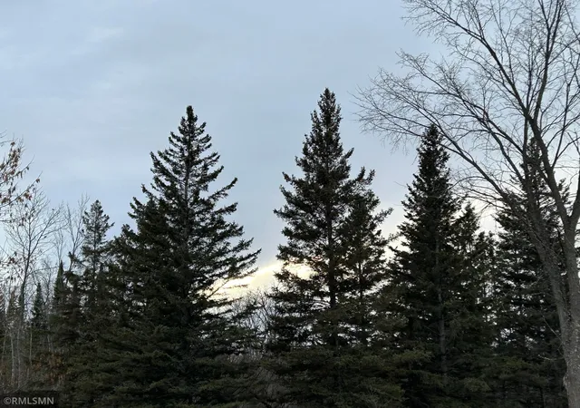 4th image of 26024 Alvwood Rd Ne, Blackduck, MN 56630 | MLS# 6822711
